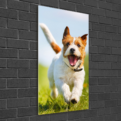 Bild aus glas vertikales Jack Russell Terrier