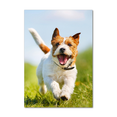 Bild aus glas vertikales Jack Russell Terrier