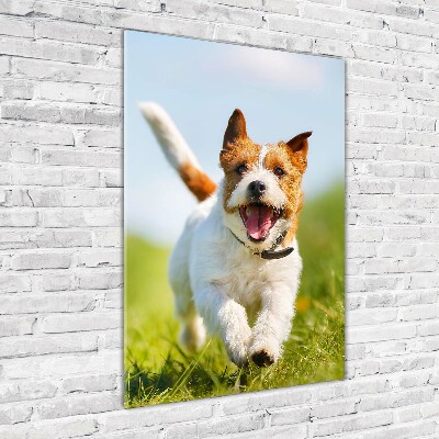 Bild aus glas vertikales Jack Russell Terrier