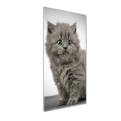 Glasbild vertikales Graue britische Katze