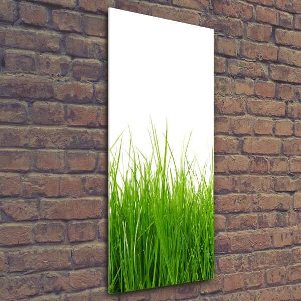 Bild aus glas vertikales Grünes Gras