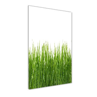 Glasbild vertikales Grünes Gras