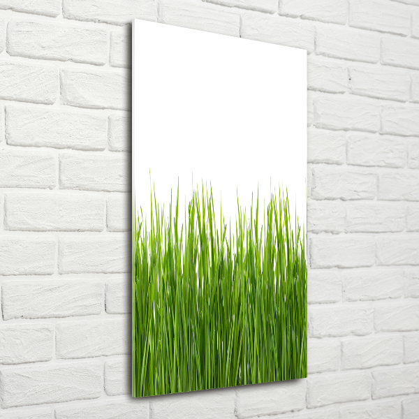 Glasbild vertikales Grünes Gras