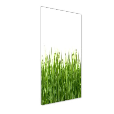 Glasbild vertikales Grünes Gras