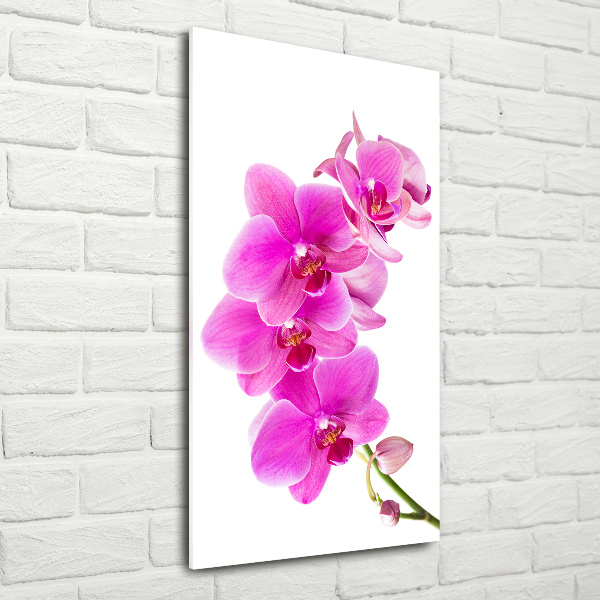 Glasbild vertikales Rosa Orchidee