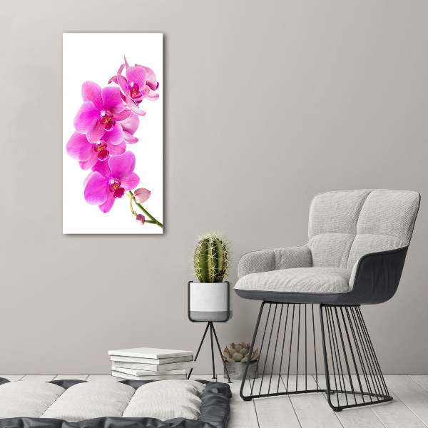 Glasbild vertikales Rosa Orchidee