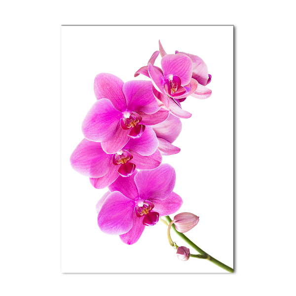 Glasbild vertikales Rosa Orchidee