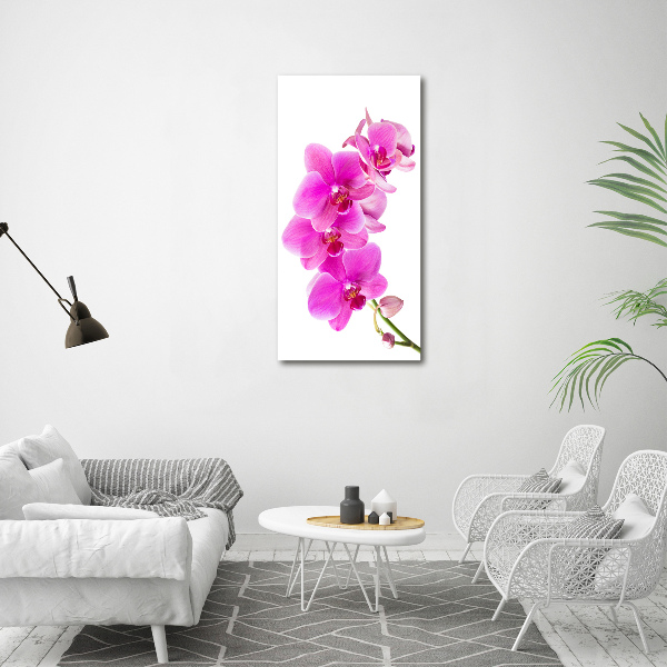 Glasbild vertikales Rosa Orchidee