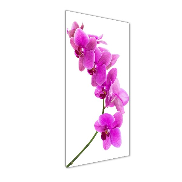 Bild aus glas vertikales Rosa Orchidee