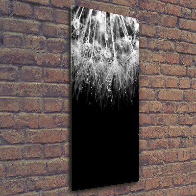 Foto auf glas vertikales Löwenzahnsamen