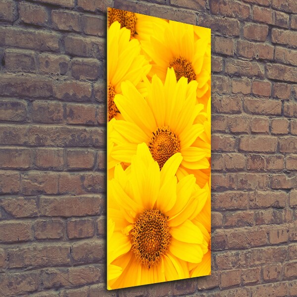 Bild aus glas vertikales Sonnenblumen