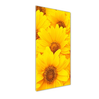 Bild aus glas vertikales Sonnenblumen