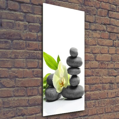 Foto auf glas vertikales Orchidee und Steine