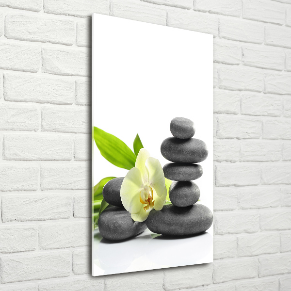 Foto auf glas vertikales Orchidee und Steine