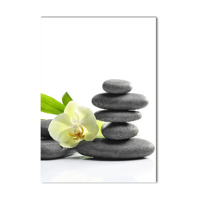 Foto auf glas vertikales Orchidee und Steine
