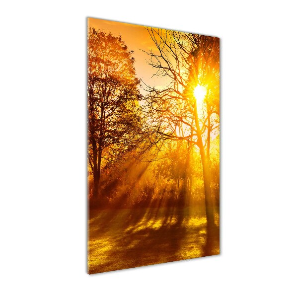 Foto auf glas vertikales Park im Herbst