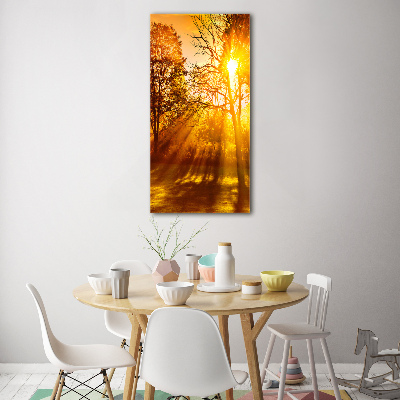 Foto auf glas vertikales Park im Herbst