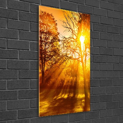 Foto auf glas vertikales Park im Herbst