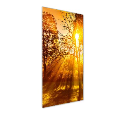 Foto auf glas vertikales Park im Herbst