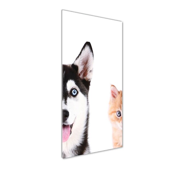 Glasbild vertikales Hund und Katze