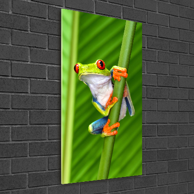 Glasbild vertikales Europäischer Laubfrosch