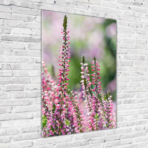 Glasbild vertikales Heidekraut