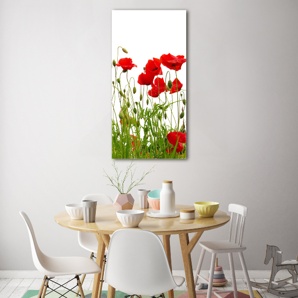 Glasbild vertikales Feldmohn