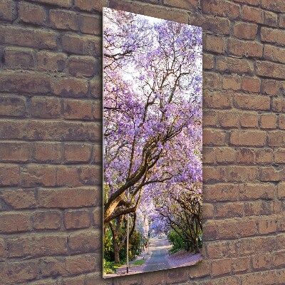 Foto auf glas vertikales Jacaranda-Pfad