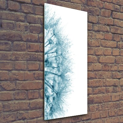 Bild aus glas vertikales Löwenzahnsamen