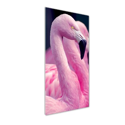 Foto auf glas vertikales Flamingos
