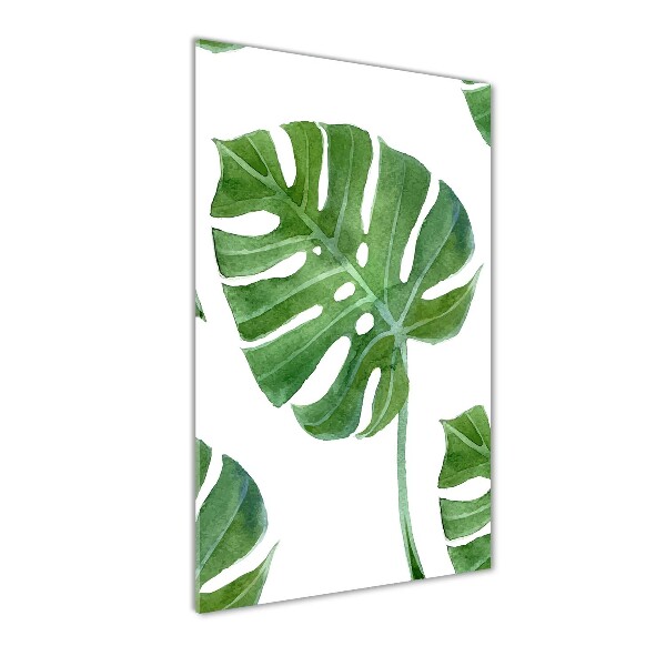 Bild aus glas vertikales Monstera