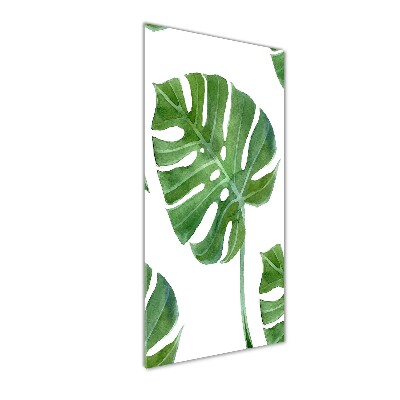 Bild aus glas vertikales Monstera