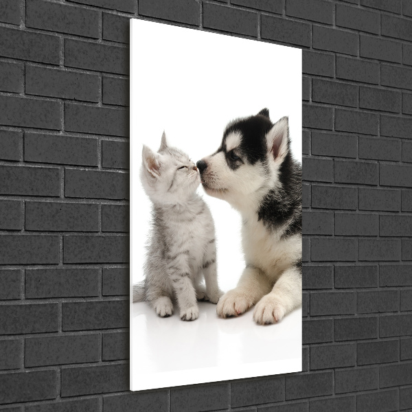 Glasbild vertikales Hund und Katze