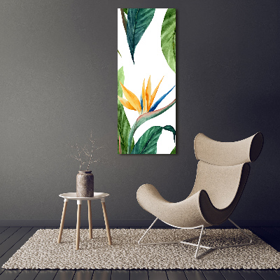 Foto auf glas vertikales Strelitzia reginae