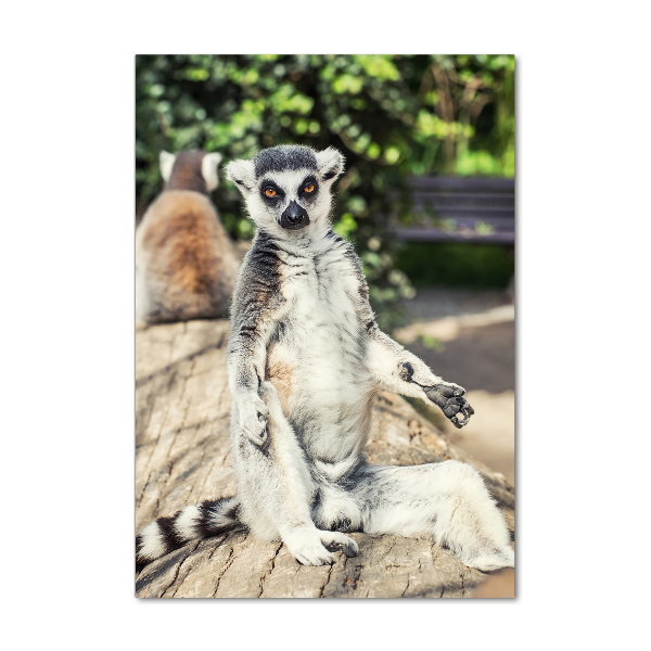 Glasbild vertikales Lemur