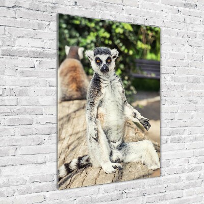 Glasbild vertikales Lemur