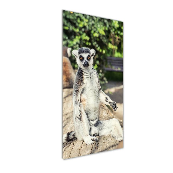 Glasbild vertikales Lemur