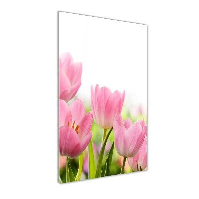 Bild aus glas vertikales Rosa Tulpen