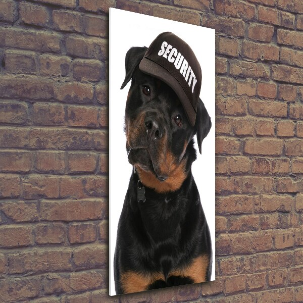 Foto auf glas vertikales Rottweiler mit Mütze
