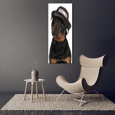 Foto auf glas vertikales Rottweiler mit Mütze