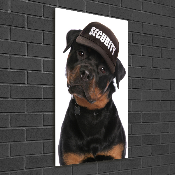 Foto auf glas vertikales Rottweiler mit Mütze