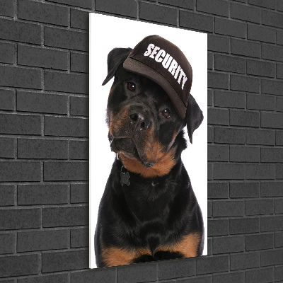 Foto auf glas vertikales Rottweiler mit Mütze