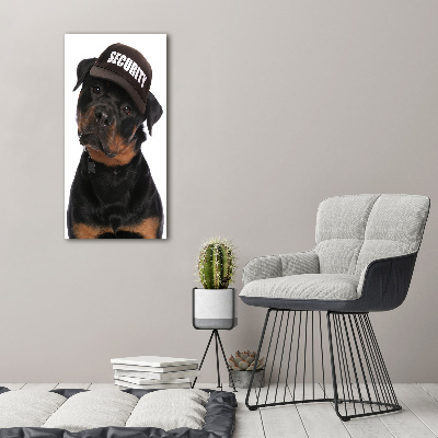 Foto auf glas vertikales Rottweiler mit Mütze