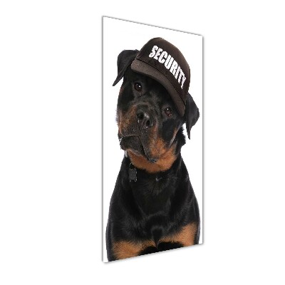 Foto auf glas vertikales Rottweiler mit Mütze
