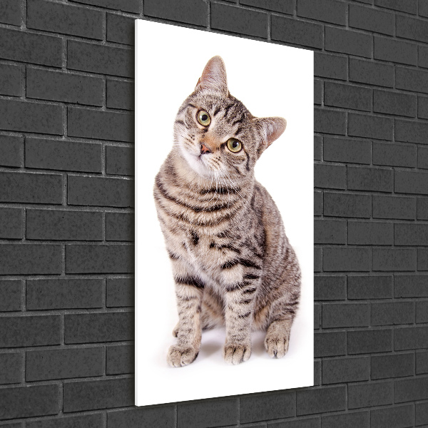 Glasbild vertikales Katze