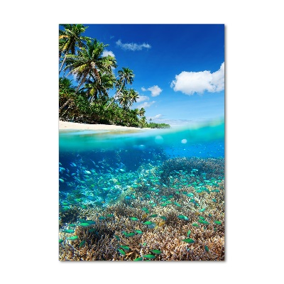 Bild aus glas vertikales Korallenriff