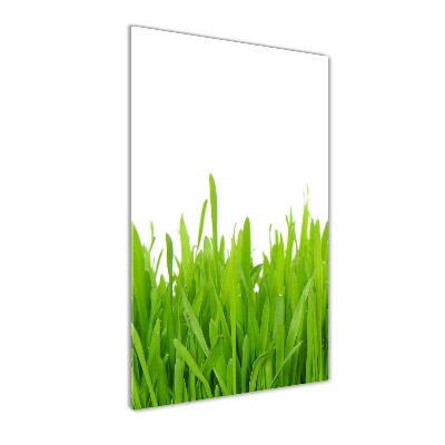 Glasbild vertikales Grünes Gras