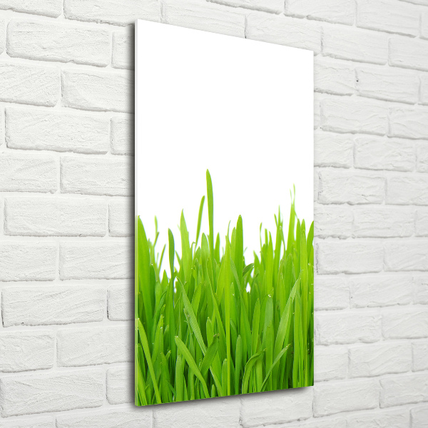 Glasbild vertikales Grünes Gras