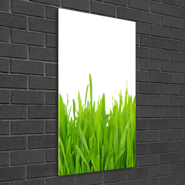 Glasbild vertikales Grünes Gras