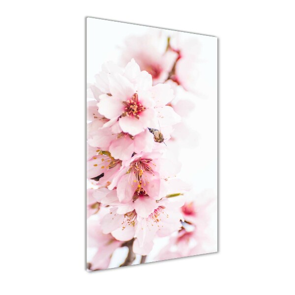 Bild aus glas vertikales Mandelblüten